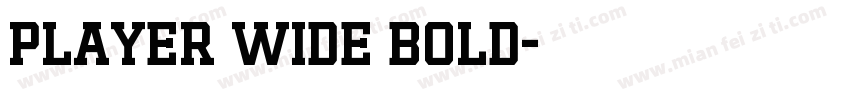 Player Wide Bold字体转换